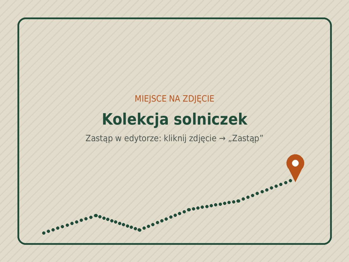 Kolekcja solniczek