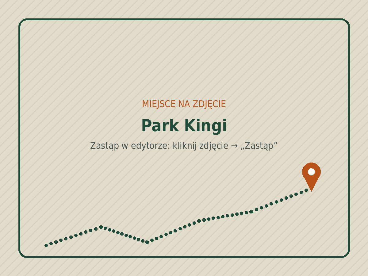 Park Kingi