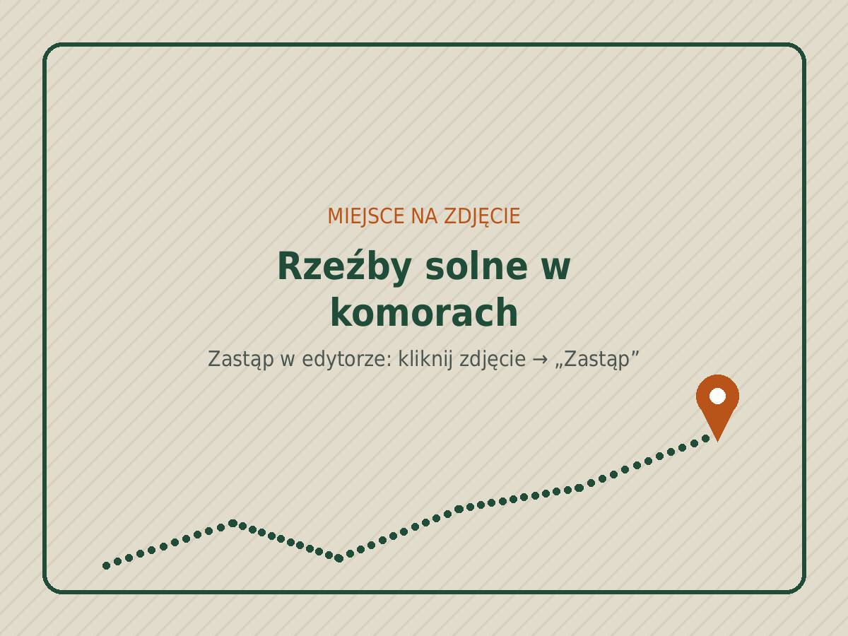 Rzeźby solne w komorach