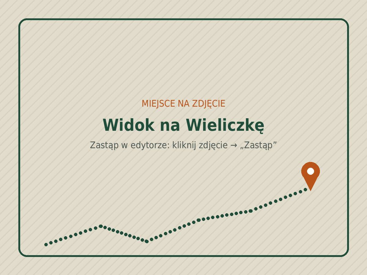 Widok na Wieliczkę