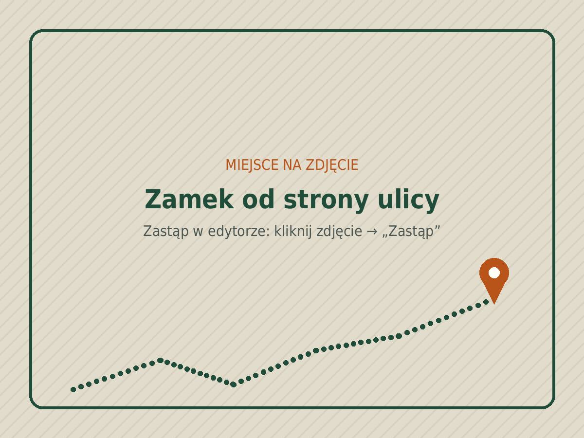 Zamek od strony ulicy